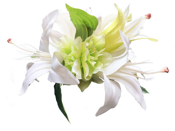 フラダンス装い 髪の毛装飾 真っ盛り飾り レフア ヘアクリップ 花輪 事 フラ Kc 041 纏める ヘアクリップ ハイクオリティリリー 純白 白色 Geo2 Co Uk