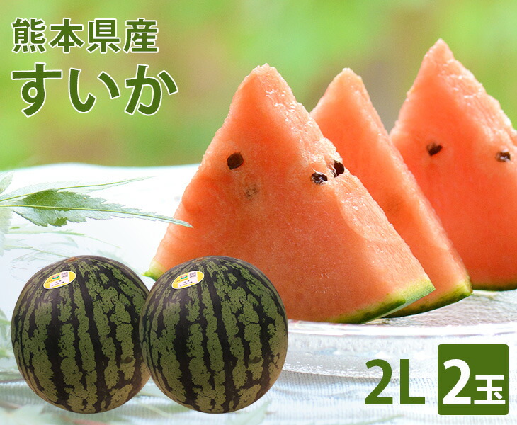 【送料無料】熊本県産 熊本すいか 2Lサイズ 2玉<br>【国産 熊本 熊本産 スイカ すいか Lサイズ お中元 西瓜 高級 プレゼント 夏 スイカ割り 海 プレミアム 特別 高級 ギフト 贈り物 贈答 フルーツ お取り寄せ うまい 果物】