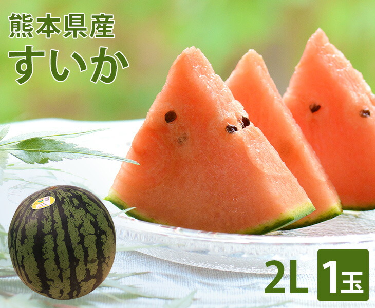 【送料無料】熊本県産 熊本すいか 2Lサイズ 1玉<br>【国産 熊本 熊本産 スイカ すいか Lサイズ お中元 西瓜 高級 プレゼント 夏 スイカ割り 海 プレミアム 特別 高級 ギフト 贈り物 贈答 フルーツ お取り寄せ うまい 果物】