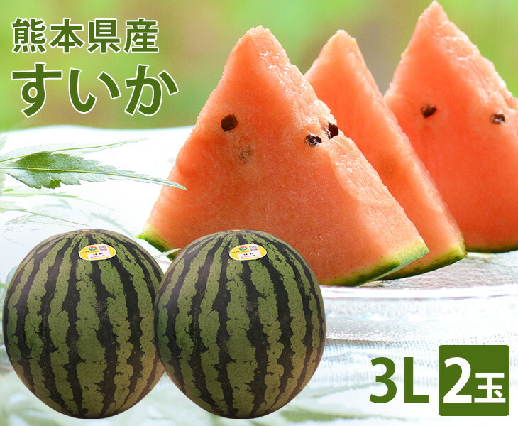 【送料無料】熊本県産 熊本すいか 3Lサイズ 2玉<br>【国産 熊本 熊本産 スイカ すいか Lサイズ お中元 西瓜 高級 プレゼント 夏 スイカ割り 海 プレミアム 特別 高級 ギフト 贈り物 贈答 フルーツ お取り寄せ うまい 果物】