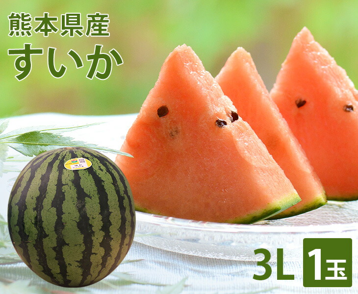 【送料無料】熊本県産 熊本すいか 3Lサイズ 1玉<br>【国産 熊本 熊本産 スイカ すいか Lサイズ お中元 西瓜 高級 プレゼント 夏 スイカ割り 海 プレミアム 特別 高級 ギフト 贈り物 贈答 フルーツ お取り寄せ うまい 果物】