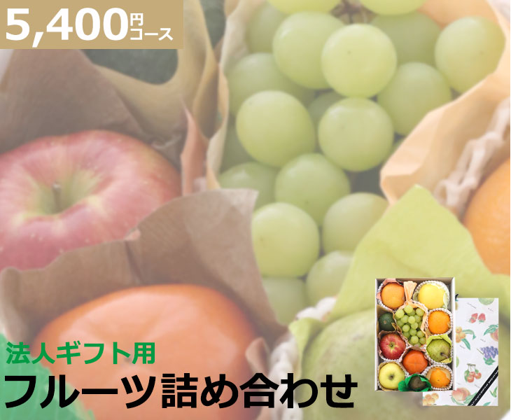 法人向け 詰め合わせフルーツギフト 5400円コース 送料無料<br>ギフト フルーツギフト 法人 詰め合わせ 贈り物 お祝い お返し 誕生日 お礼 フルーツ 果物 お取り寄せ うまい 家庭用 母の日 父の日 お中元 お彼岸 敬老 お年賀 お歳暮 ギフト 進物 お見舞い
