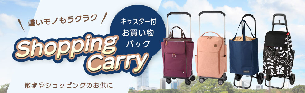 ［ツッチ］ロジェール・キューボ・Sサイズ・ネイビー Cubo Small(キューボS/機内持込サイズ)について | LOJEL
