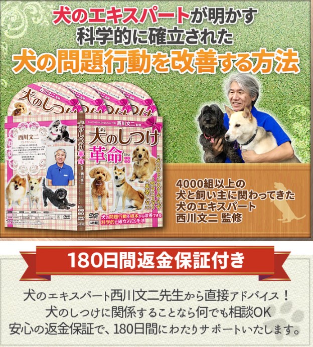 犬のしつけ革命~科学的に確立された犬の問題行動を改善する方法~DVD【犬のエキスパート 西川文二 指導】首輪 しつけ用 犬服 冬 1000円ポッキリ dogchoice セール 送料無料 ダウン 暖かい ベッド ハーネス いぬ サークル 犬 あったか ベッド アウター グレインフリー|スポーツ教則DVD トレンドアクア