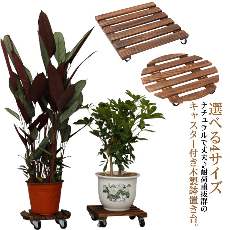 楽天市場】木製鉢置き キャスター付 プランタースタンド フラワー