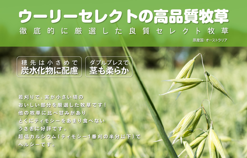 楽天市場 ウーリーのセレクト牧草 オーツヘイ 850g うさぎ専門店の食彩 Truegrasses