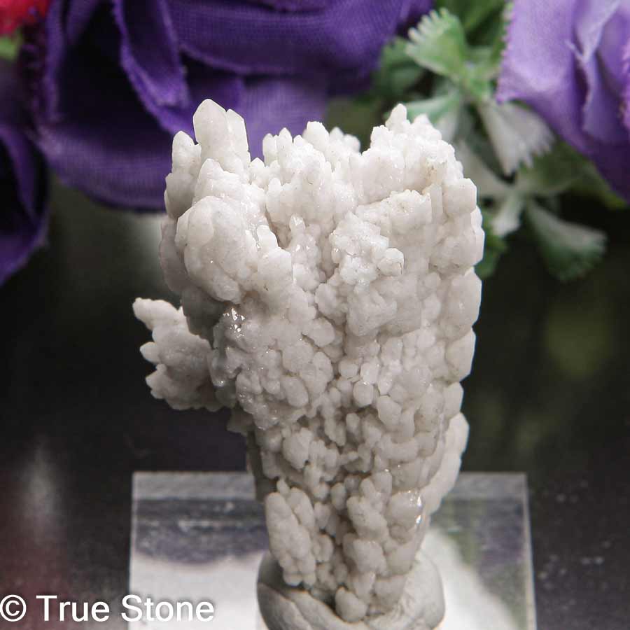 楽天市場】鑑別済み ギベオン隕石 アイアン メテオライト シルバー 1粒