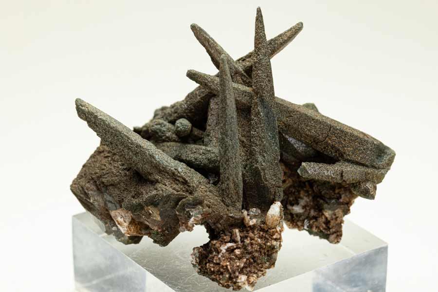 レア♡ヒマラヤ水晶クラスター♡ガーデン共生♡No.1735 レア♡ヒマラヤ水晶クラスター♡ガーデン共生♡No.1735