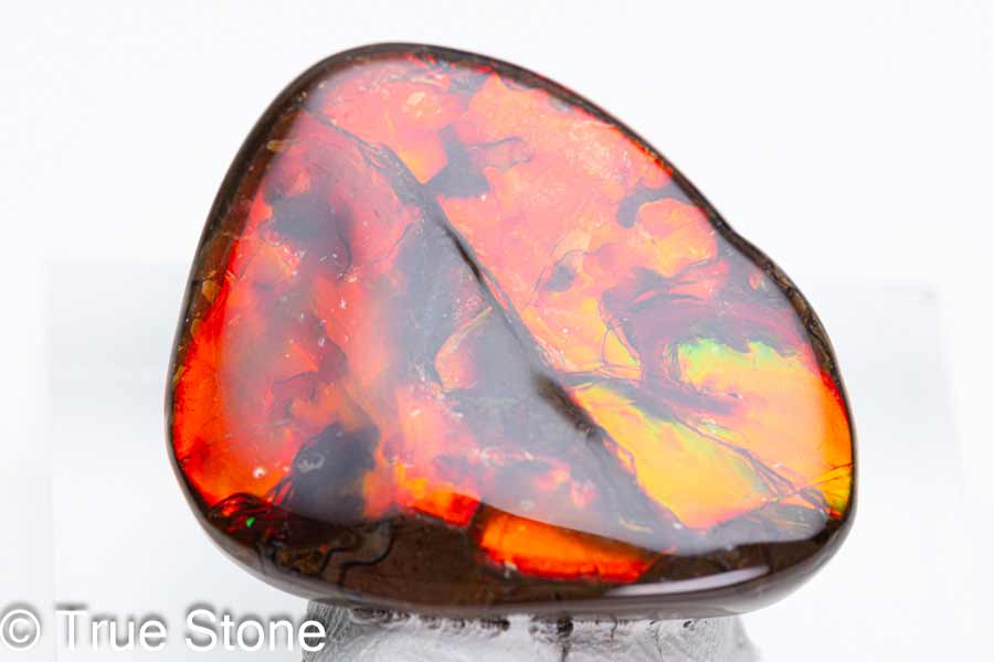 アンモライト　アンモナイト 50.5 x 33 x 6 mm - Large AA Grade Natural Free Form FFN 214