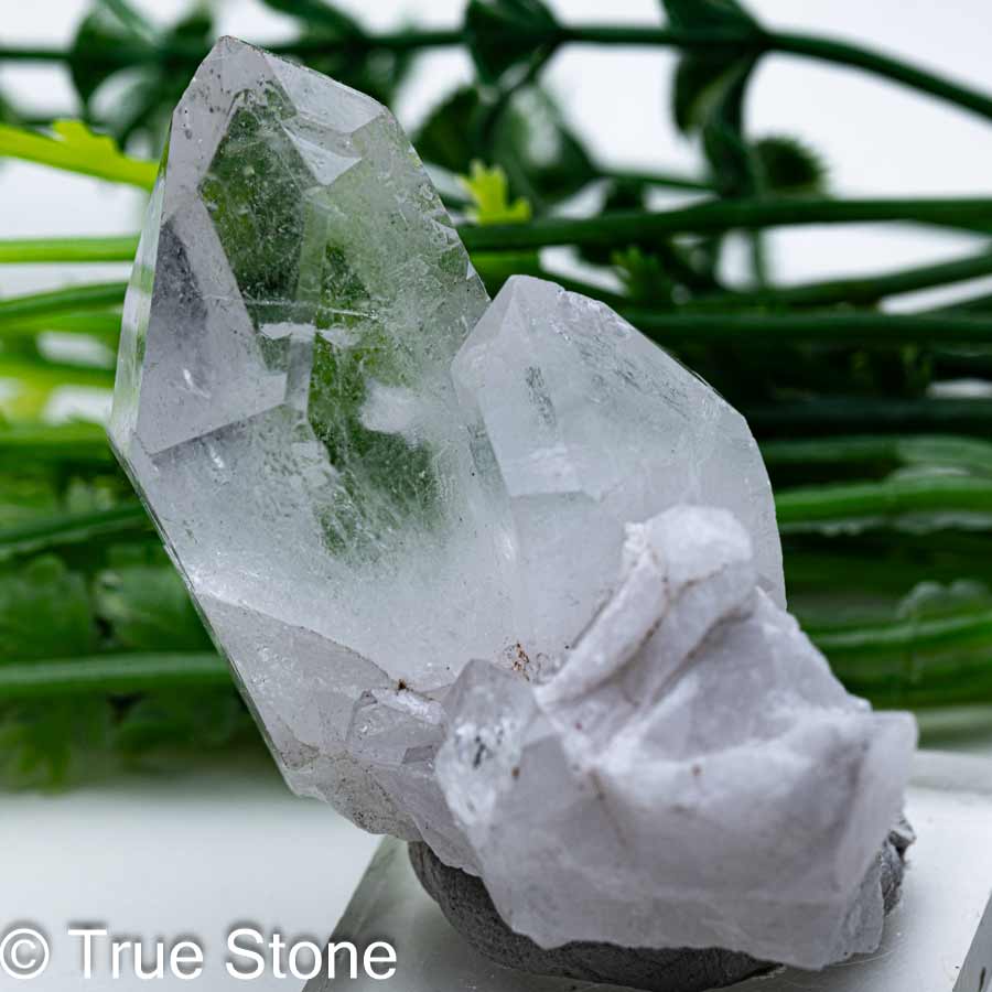 楽天市場】マスタークリスタル シャーマンダウ（ダウ クリスタル+