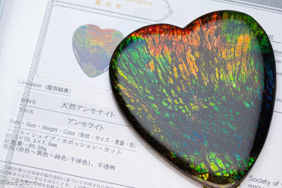 楽天市場】AAAA 希少 アンモライト ペンダントトップ ブルー グリーン