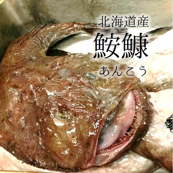 楽天市場】【送料無料】新潟・佐渡産 天然 あんこう アンコウ 一