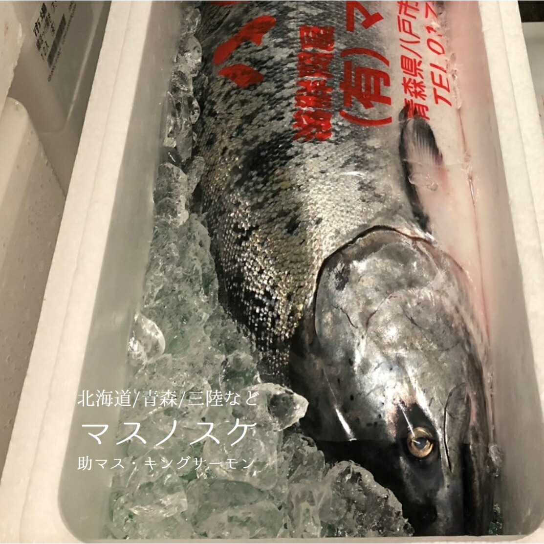 マスノスケ　5本セット ニチバン マスキングテープ No.2311 30mm×18m 4個入 | ペンキ