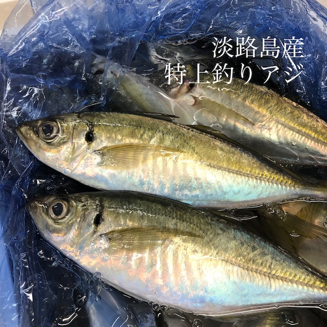 楽天市場 特上釣りアジ 淡路島産 1尾150 0gサイズ 計4尾 マアジ 鯵 豊洲直送 淡路鯵4尾 冷蔵 Okawari 楽天市場店