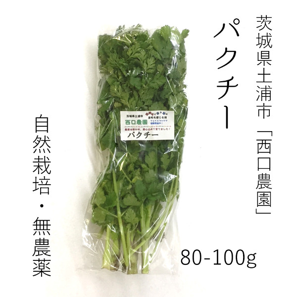 楽天市場】パクチー 農薬・化学肥料不使用 千葉産 SAFE GREEN