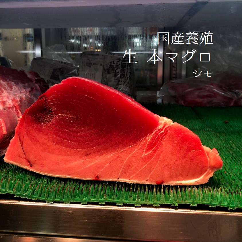 水産物応援商品 送料無料 国産本マグロ 生 シモ 1 1 5kg 養殖本マグロ Honmaguro Shimo 本マグロ下 冷蔵 本鮪 クロマグロ 高級 国産本マグロの下部位 長崎など タイムズへの寄稿で Diasaonline Com