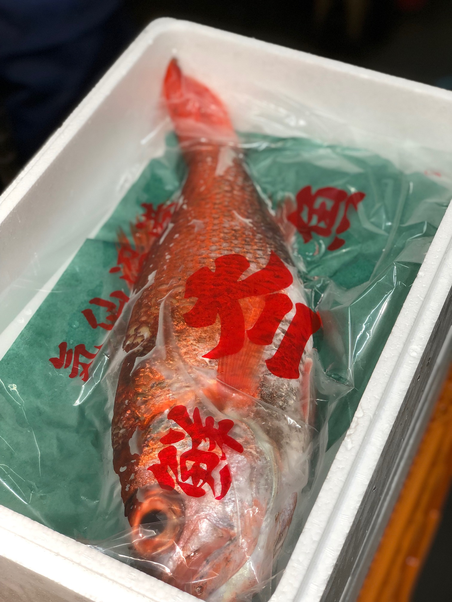 生 のどぐろ 喉黒 赤むつ 超特大サイズ 豊洲直送 特大約1kg 国産 三陸 鳥取 山口 島根他 アカムツ ギフト 鮮魚 刺身 ノドグロ 生のどぐろ1kg 冷蔵 Sermus Es