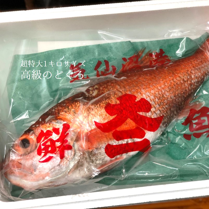 生 のどぐろ 喉黒 赤むつ 超特大サイズ 豊洲直送 特大約1kg 国産 三陸 鳥取 山口 島根他 アカムツ ギフト 鮮魚 刺身 ノドグロ 生のどぐろ1kg 冷蔵 Tajikhome Com