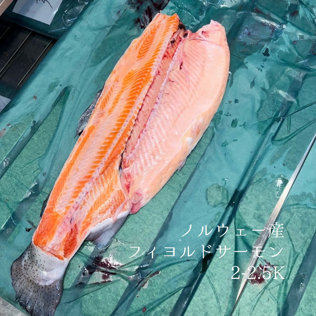 ポイント10倍 生フィヨルドサーモン半身 1 1 3kg 魚体4 5キロサイズの半身 ノルウェー産 フィヨルド半身 冷蔵 豊洲直送 ポイント10倍 Lexusoman Com