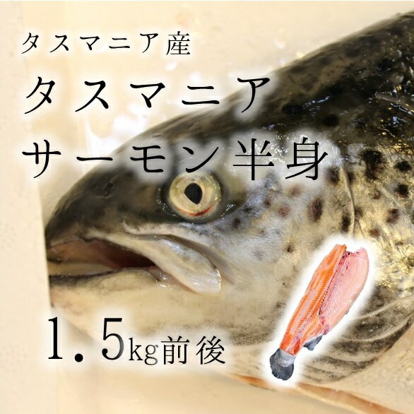 楽天市場】マスノスケ 生 鱒之介 1尾5-6kg 北海道 青森 三陸など キングサーモン【助マス5kg】冷蔵 豊洲直送 : Okawari 楽天市場店