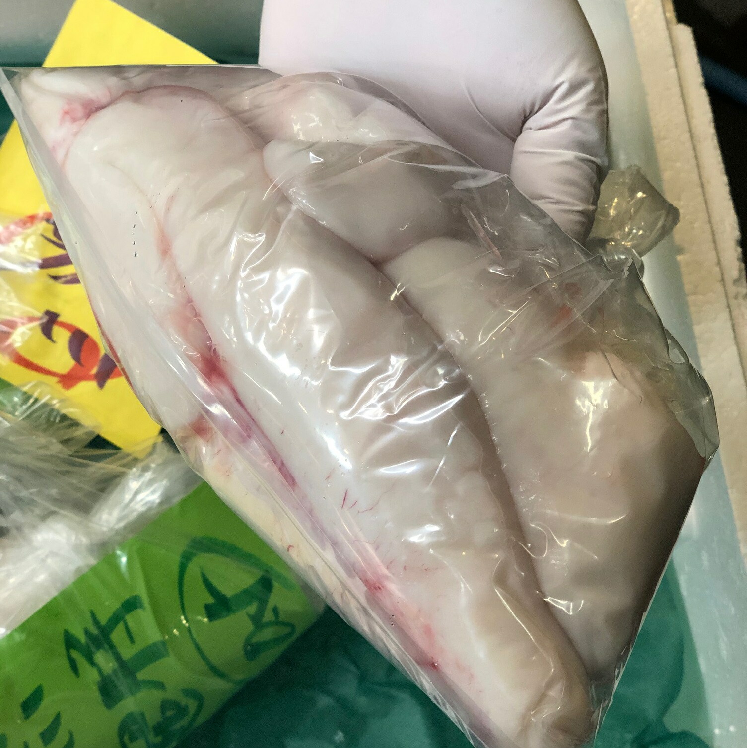 天然トラフグ 白子 500g 下関産 他 厳選食材【天フグ白子５００ｇ】冷蔵