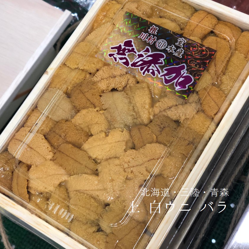 楽天市場】殻付きウニ イガウニ キタムラサキウニ 雲丹 宮城
