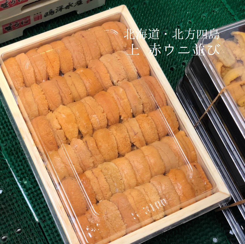 上赤ウニ 並び 北海道・北方四島産 バフンウニ 赤ウニ 約200-250g 弁当箱冷蔵