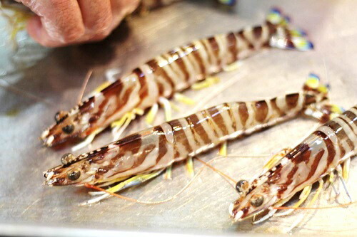 楽天市場 活け 高級車海老 生 九州産 1kg約25尾 約40g １尾 豊洲直送 車エビ 車えび クルマエビ Kurumaebi1k 活車エビ１k 冷蔵 Okawari 楽天市場店