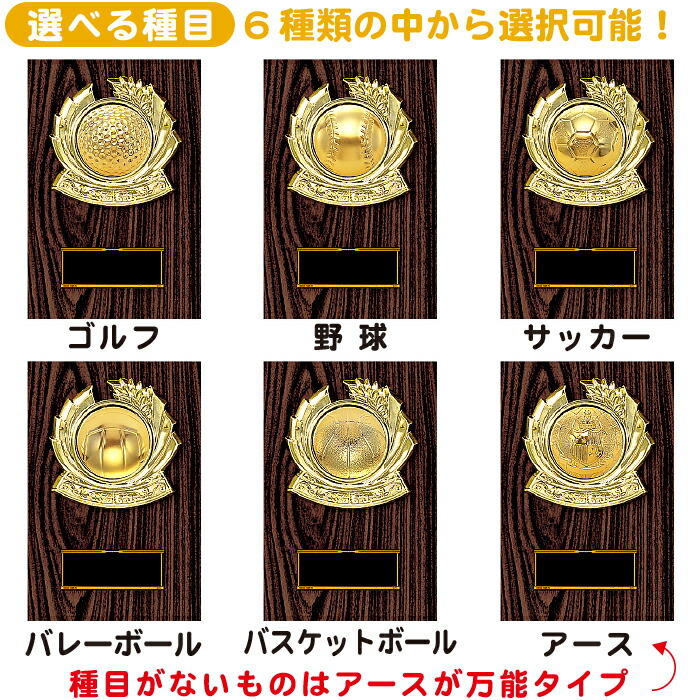 6種類の中から選択可能!トロフィー盾(表彰盾)楯(表彰楯)ハーフボール半球レリーフ圧縮材トロフィーゴルフトロフィー野球トロフィーサッカートロフィーバスケトロフィーバレートロフィーアース地球
