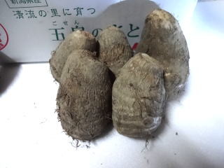 送料無料 五泉の里芋 東北の芋煮会の主役 新潟の美味しいさとうもが芋煮会で活躍 さといも10キログラム Mavipconstrutora Com Br