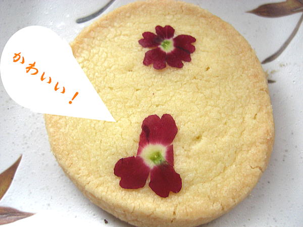 楽天市場 送料無料 小さな田舎の人気クッキー 70万枚の大人気 押し花クッキー12枚 うまいショップ 楽天市場 送料無料 小さな田舎の人気クッキー 70万枚の大人気 押し花クッキー12枚 うまいショップ