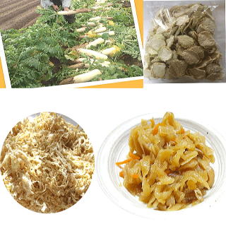 【送料無料】切干大根　【国産】セラミック乾燥　無添加　乾燥大根50グラム×10【煮しめ用】
