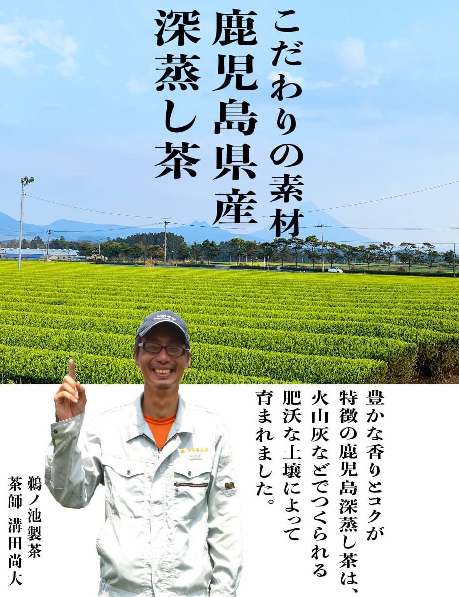 緑茶お徳用送料無料お茶ティーバッグ2.5g×100個入お茶深蒸し茶ティーパック鹿児島茶大容量カテキンパック100包水出し冷茶オフィス業務用深むし茶茶葉日本茶煎茶健康茶ネコポスポイント消化