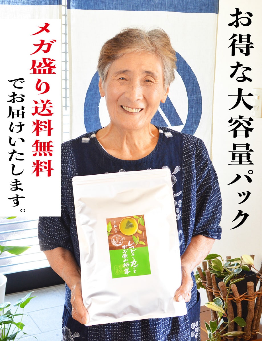 緑茶お徳用送料無料お茶ティーバッグ2.5g×100個入お茶深蒸し茶ティーパック鹿児島茶大容量カテキンパック100包水出し冷茶オフィス業務用深むし茶茶葉日本茶煎茶健康茶ネコポスポイント消化