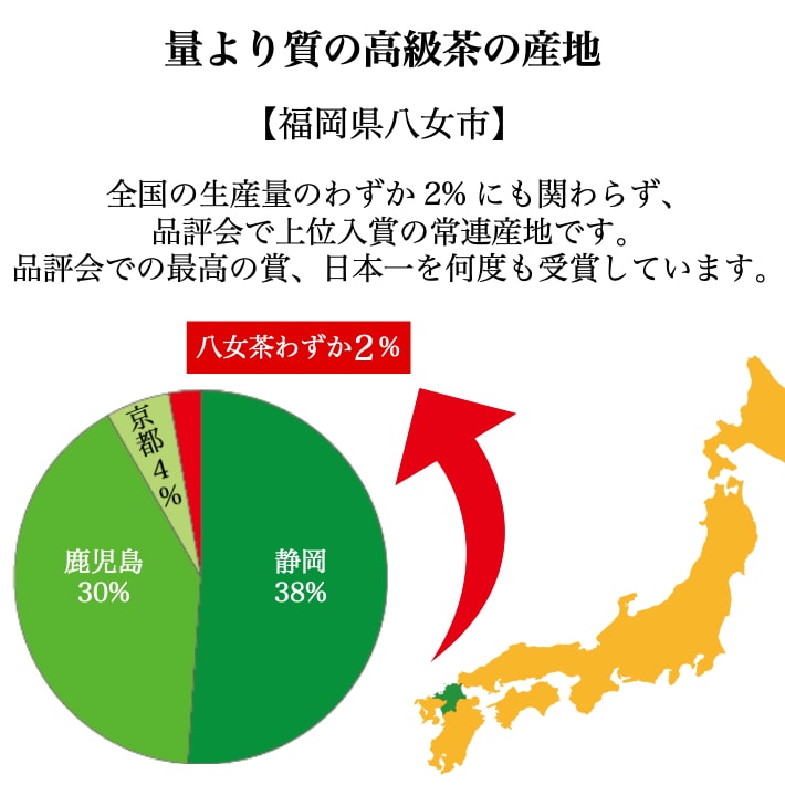 楽天市場 お試し 水出し茶 八女茶 送料無料 ティーパック 10包入 50g メール便 緑茶 ポット お茶 日本茶 お茶パック 煎茶 水出し緑茶 冷茶 マイボトル 緑茶パック 九州産 1000円ポッキリ 鵜ノ池製茶 鵜ノ池製茶