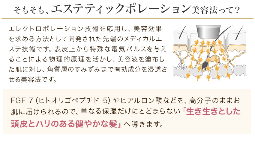 新商品 美容器 エレクトポレーション 育毛 頭皮ケア スカルプ 頭皮