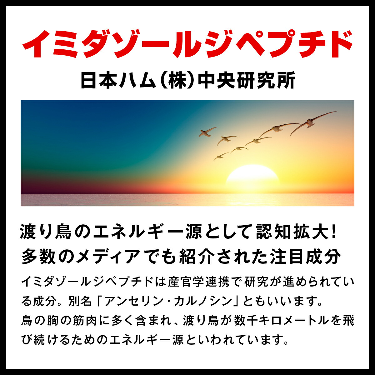 日本 レディーゴー120粒入り L-シトルリン サプリ サプリメント イミダゾールジペプチド イミダ ペプチド BCAA配合 日本製 約1ヶ月分  ネコポス商品 qdtek.vn