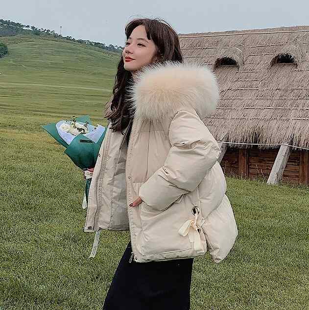 レディースファッション コート ジャケット 格安販売の ショート丈 レディース 綿アウター 中 韓国ファッション レディース アウター ゆったり かわ小 かわ大 フード付き ファー カジュアル ナチュラル スタンドカラー 防寒 ジャケット 冬 秋 無地 通学 通勤