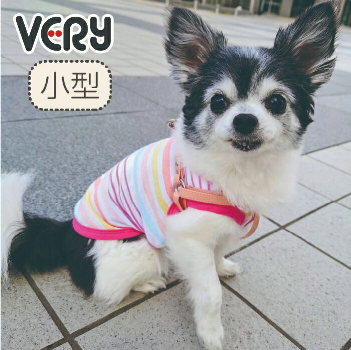 楽天市場】【在庫処分 残りサイズ 2号のみ 】 ボーダー タンクトップ