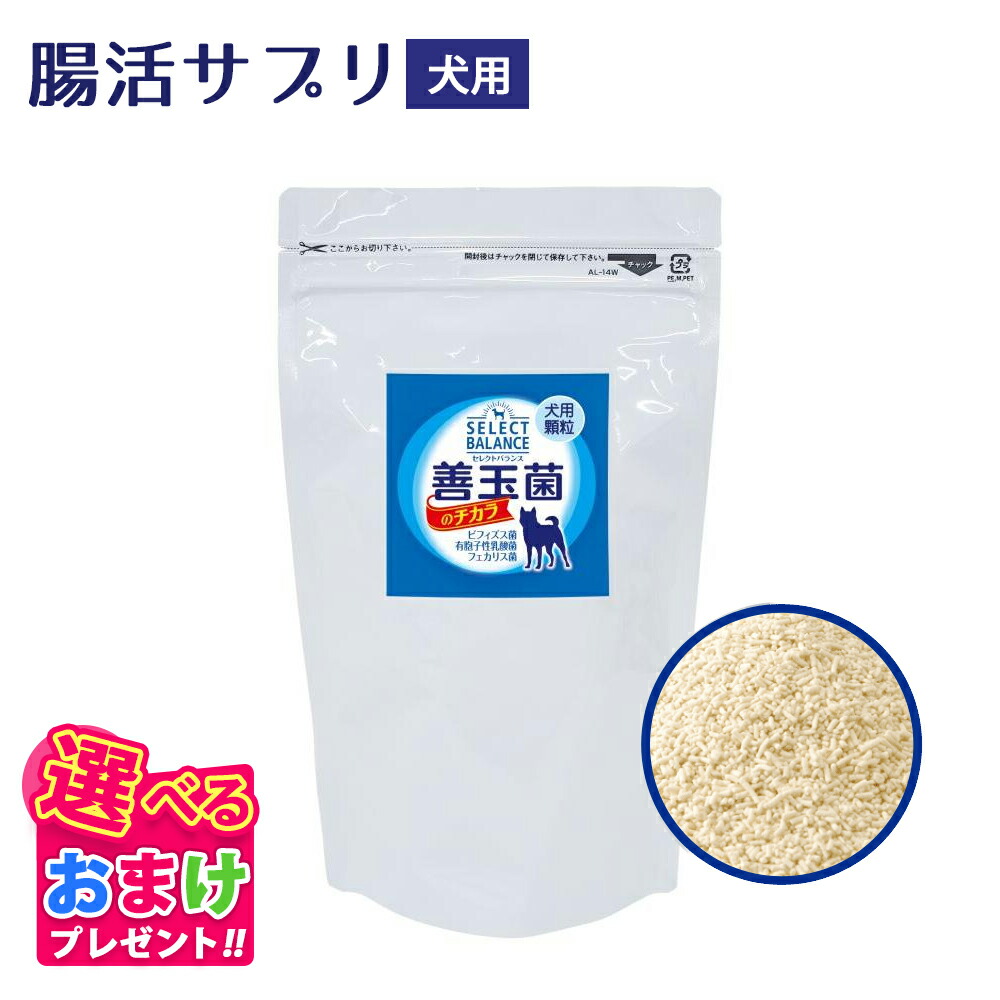 楽天市場】セレクトバランス 善玉菌のチカラ 犬猫用（タブレット