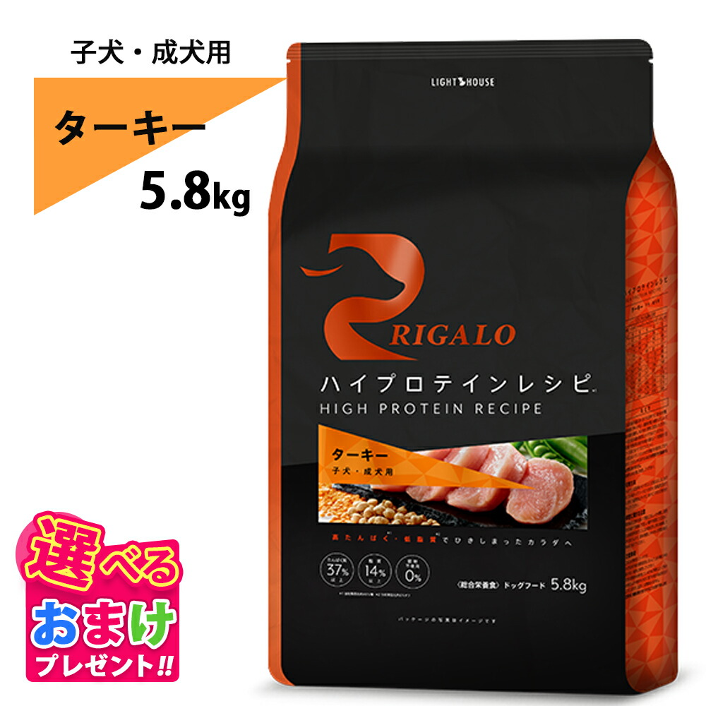10%OFFクーポン券 おまけ付き添い人 リガロ RIGALO 七面鳥 犬ころ 成犬 5.8kg 5.8キログラム 高たんぱく質 ご機嫌たんぱく質 ドッグフード ターキー グレインフリー タンパク質37％以上 低脂肪組織 パピー 素っ気ないボンネット 善玉菌 土手っ腹に分かりやすい