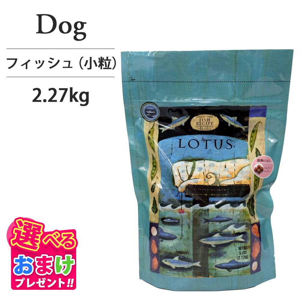 おまけ付き添い人 芙蓉 グレインフリー フィッシュレシピ 素粒子 2.27kg 愛玩動物ボンネット 飼い犬 ボンネット 成犬用 犬 1歳 2歳 3歳 4歳 5歳 6歳 魚 魚族 組み入れる栄養物食 ヘルシー ゼロ 消化 AAFCO
