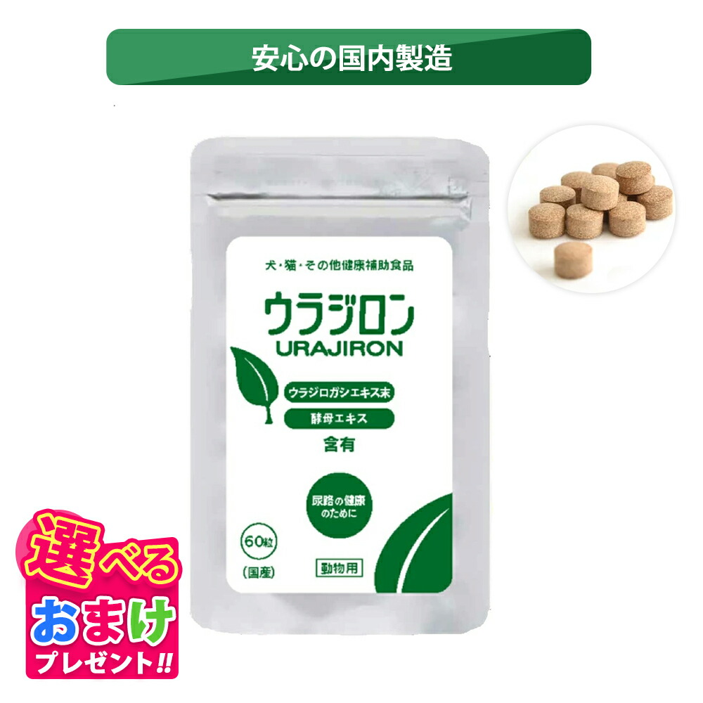 クーポン おまけ付き ウラジロン 犬 イヌ 成犬 猫 ネコ ペット 動物 サプリメント サプリ 60粒 1個 小粒 健康維持 ウラジロガシ 健康 国内生産 日本製 安心 飲みやすい 食べやすい