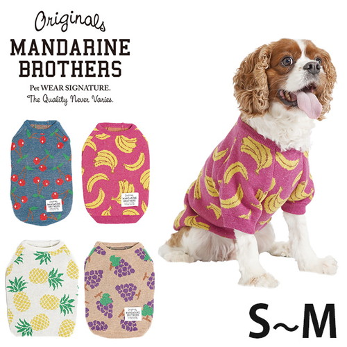 楽天市場 メール便配送可 Fruits Knit フルーツニット S M 全4色 Mandarine Brothers 犬 洋服 ウェア ウエア 服 二ット お散歩 さんぽ お出かけ フルーツ 柄 チェリー さくらんぼ バナナ パイナップル グレープ ぶどう マンダリンブラザーズ T 未来