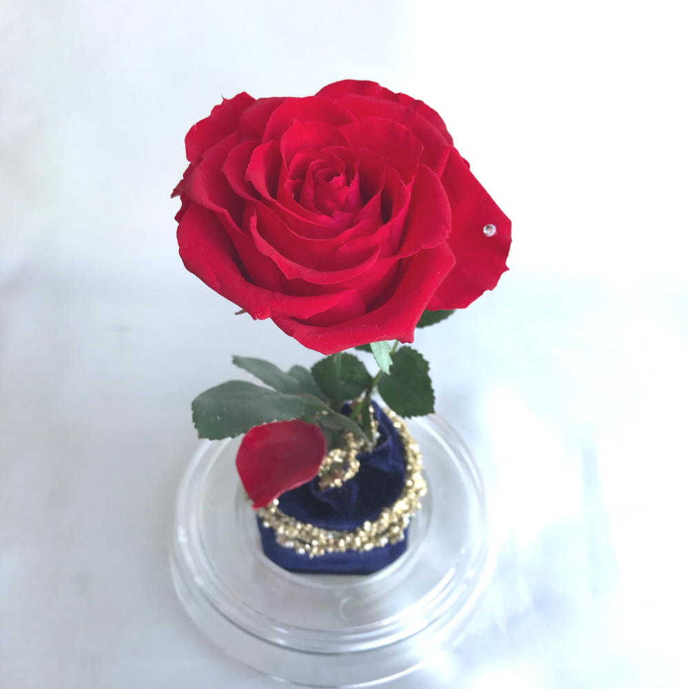 楽天市場 ローズドーム ｍサイズ 美女と野獣 バラ ガラス シンデレラ城 ディズニー 東京ディズニーリゾート限定 Disney ｊｅｓｕｓ ｙｕｍｍｙ