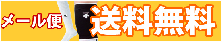 楽天市場】【送料無料】バレーボール 関連グッズ ネット インドア