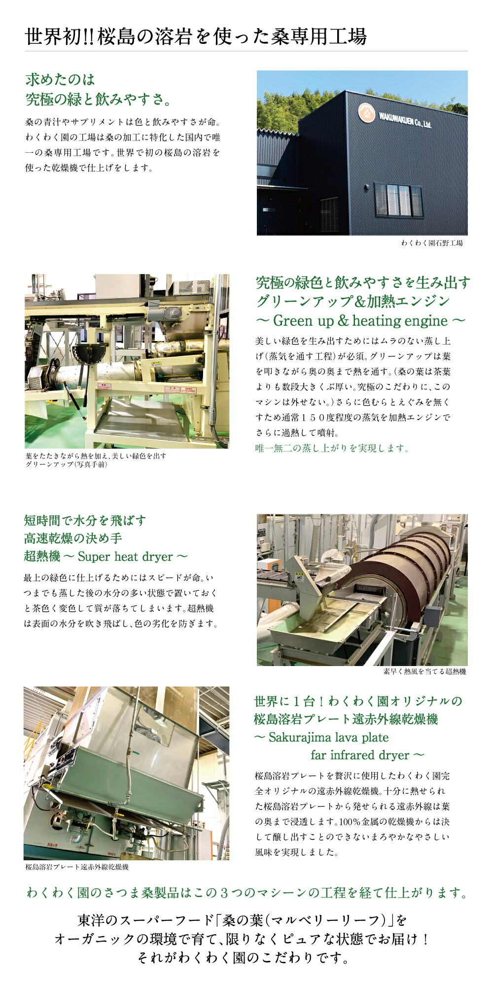 さつま桑茶ファミリーパック180包入り送料無料ダイエット糖質制限低糖質ダイエットわくわく園さつま桑本舗国産鹿児島県産100%桑の葉使用ノンカフェイン農薬・化学肥料・除草剤不使用