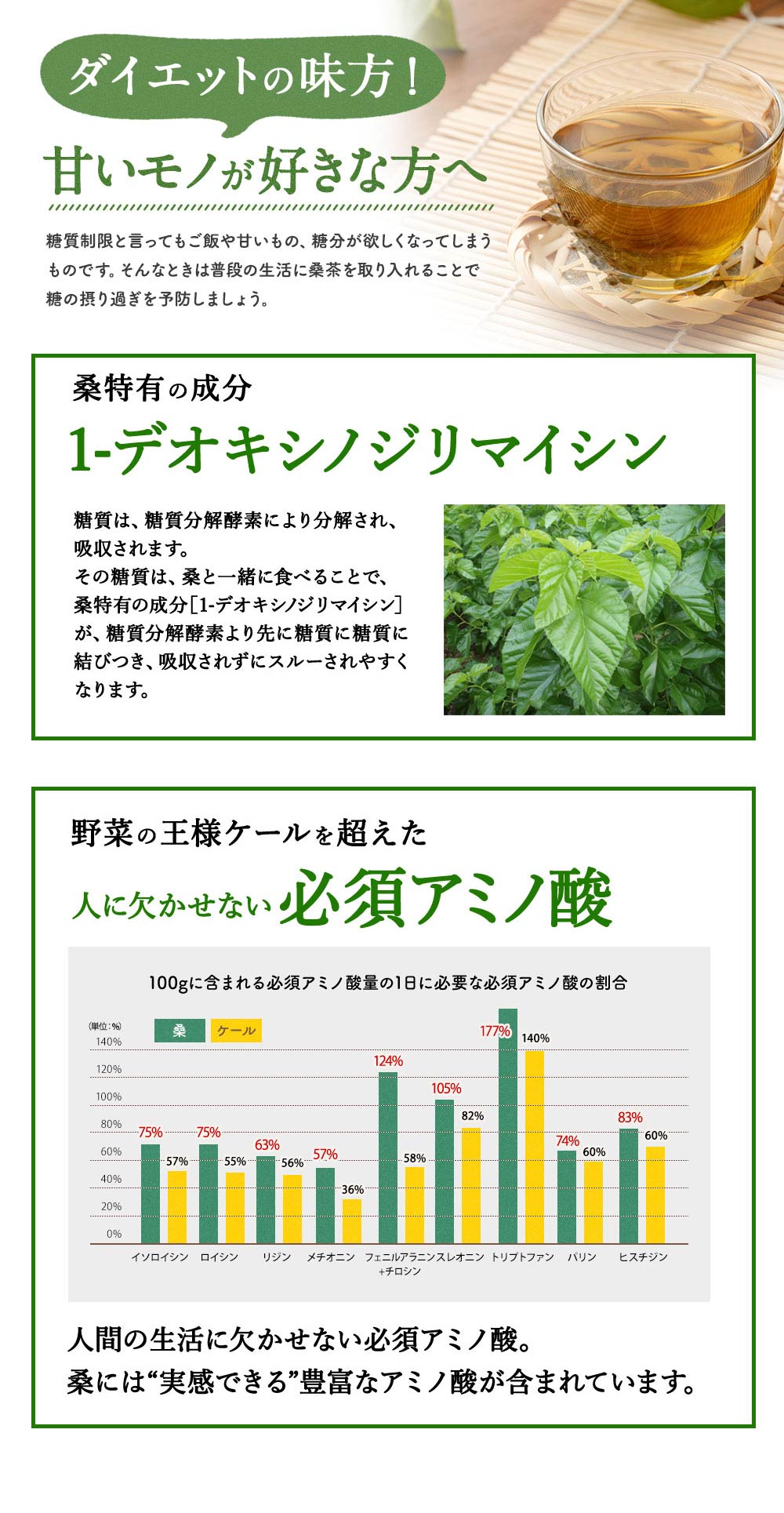 さつま桑茶ファミリーパック180包入り送料無料ダイエット糖質制限低糖質ダイエットわくわく園さつま桑本舗国産鹿児島県産100%桑の葉使用ノンカフェイン農薬・化学肥料・除草剤不使用