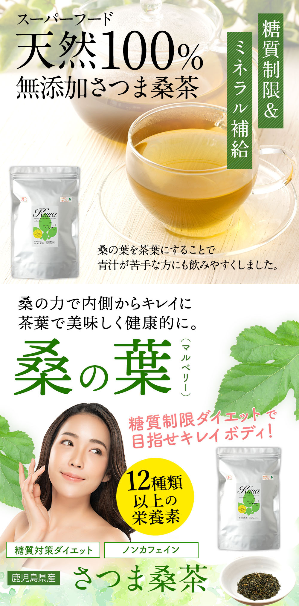 さつま桑茶ファミリーパック180包入り送料無料ダイエット糖質制限低糖質ダイエットわくわく園さつま桑本舗国産鹿児島県産100%桑の葉使用ノンカフェイン農薬・化学肥料・除草剤不使用