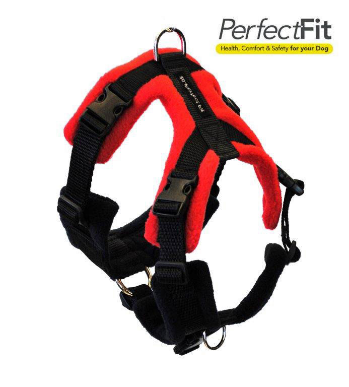 perfect fit dog harness